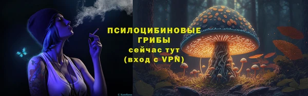 MDMA Няндома