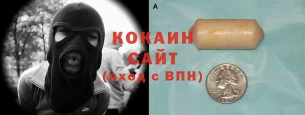 шишки Тайга