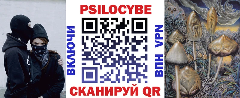 Галлюциногенные грибы Psilocybe  Боровск 